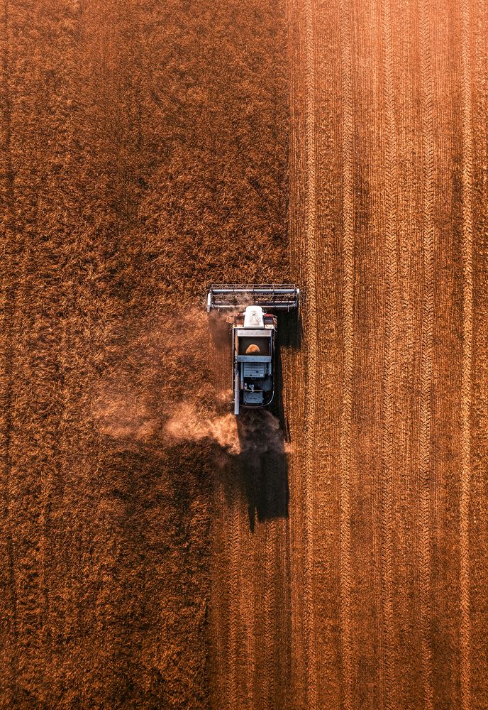 Photograph by Александр Шинкаревский