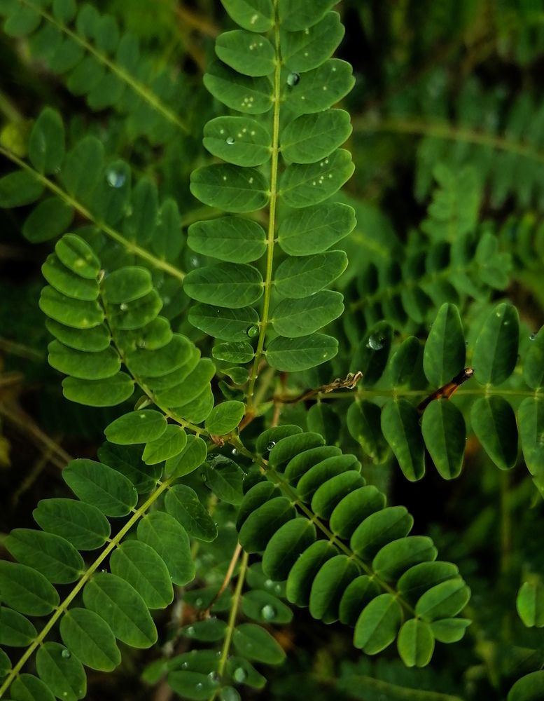 Photograph by Тамара