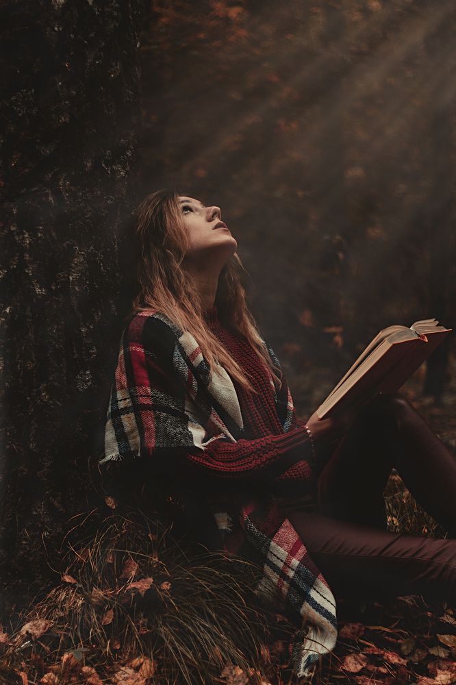 сказка в лесу