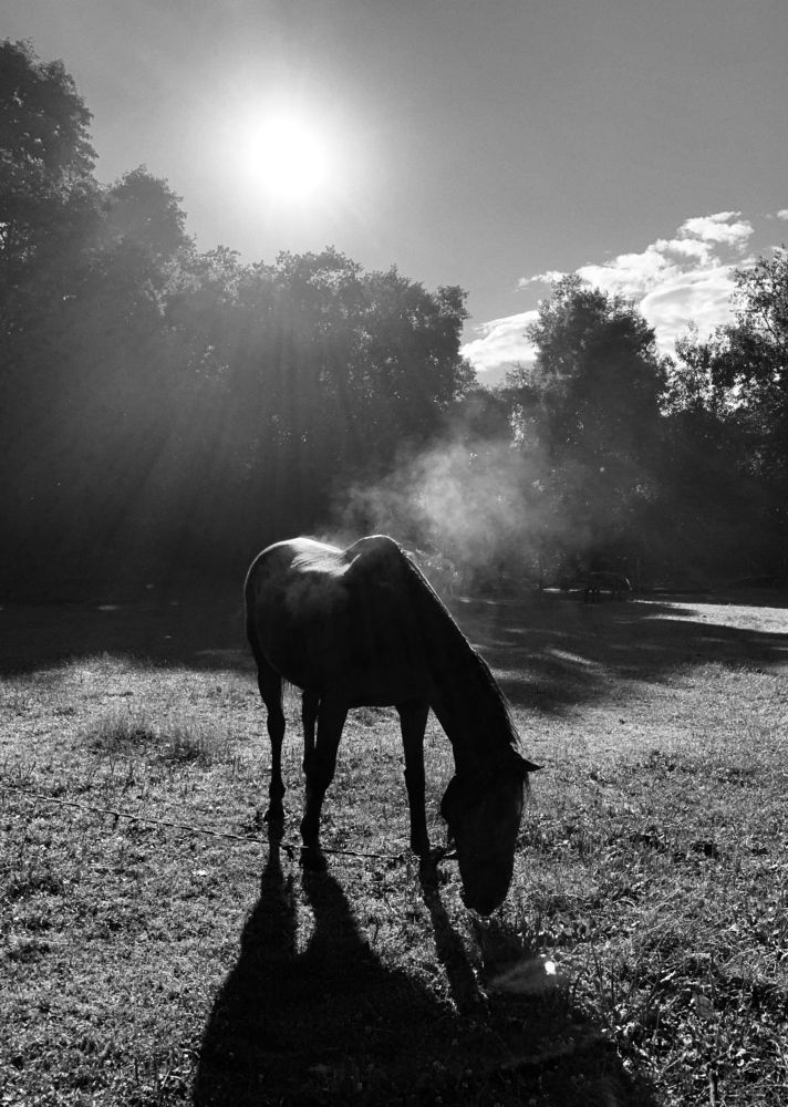 Photograph by Павел Тищенко