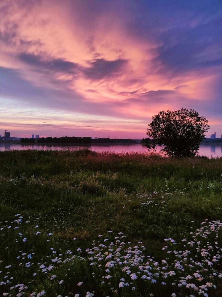 Photograph by Анастасия Глазюк