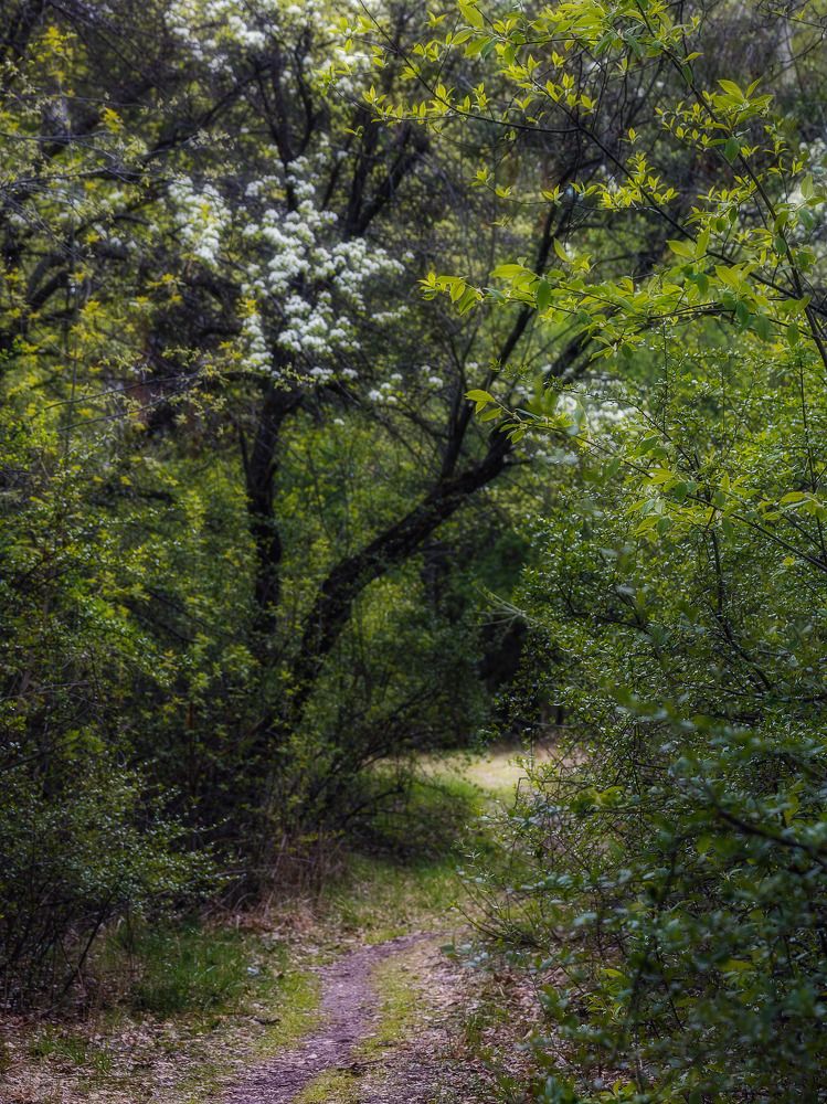 Photograph by Анастасия Глазюк