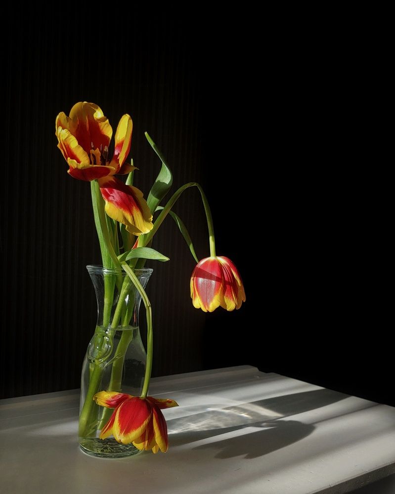 Photograph by Любовь Толстова