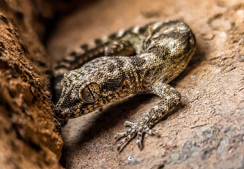 Фотография автора Mohammad Mohseni