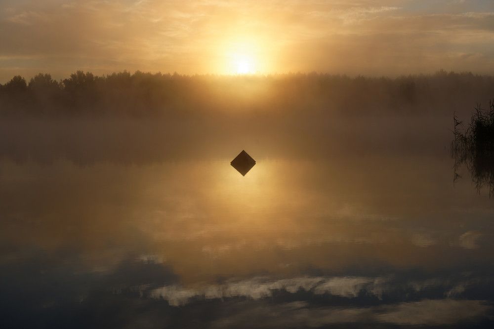 Фотография автора Григорьев Алексей