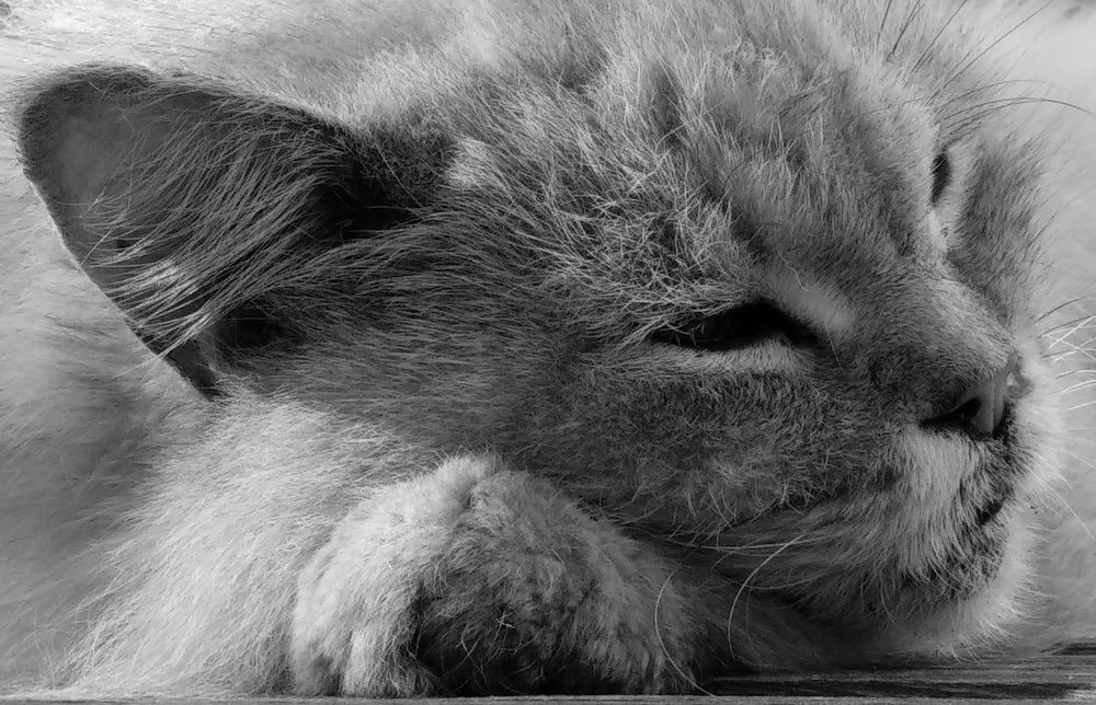 Photograph by Наталья Трофимова