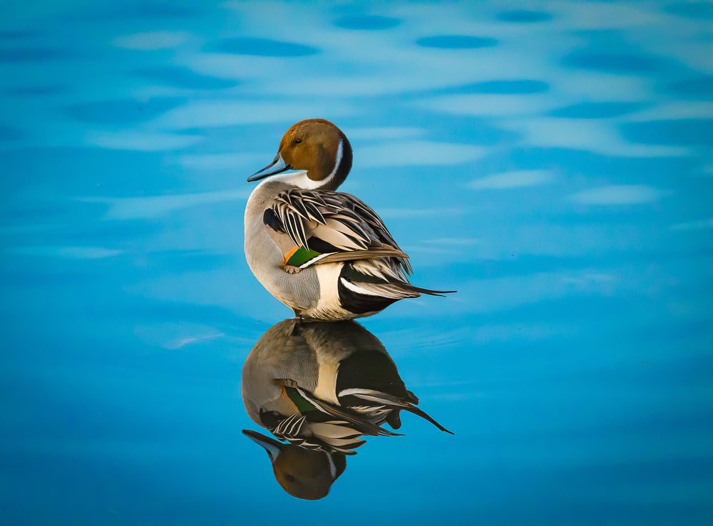 Фотография автора Kevin Andrews