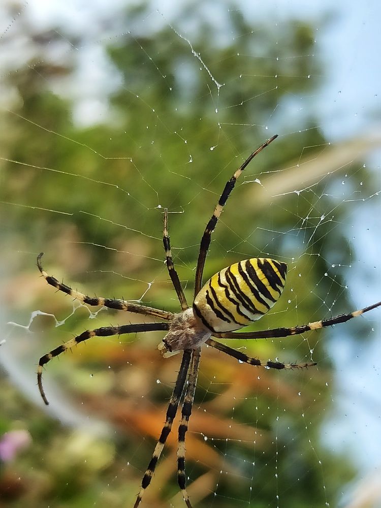 Фотография автора Таня Долгушева