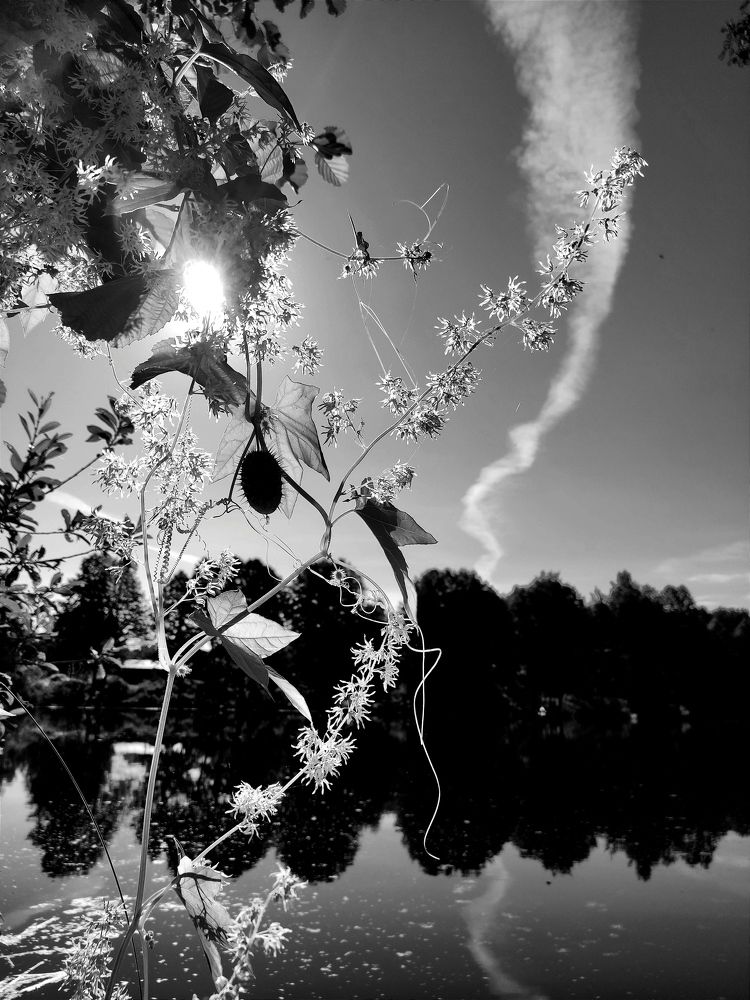 Photo #7879802