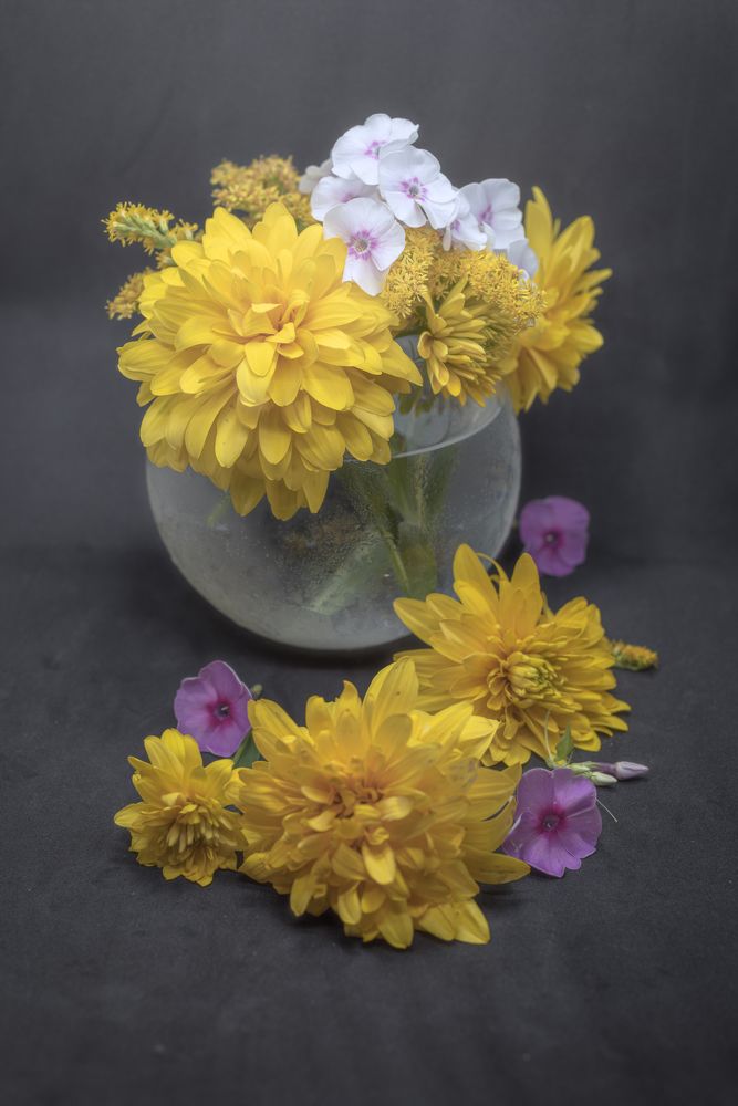 натюрморт с цветами still life with flowers