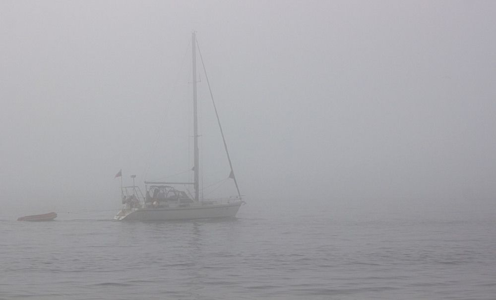 Photograph by Маргарита