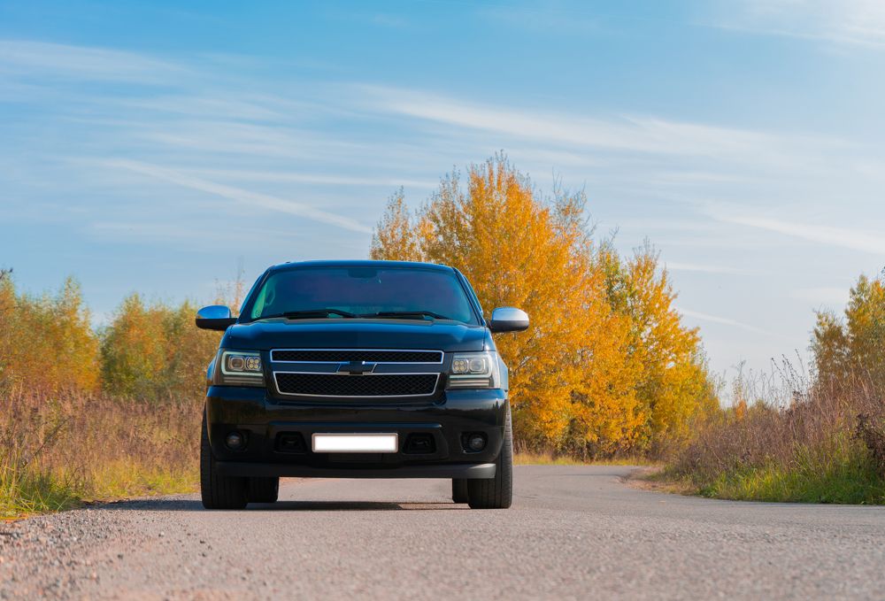 Photograph by Мария Паина