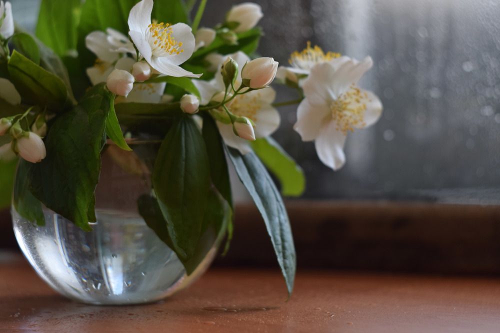 Photograph by Елена Войнова