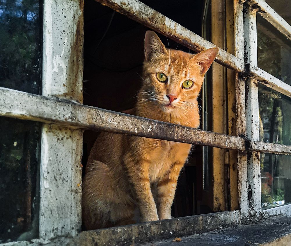 Photograph by Fatemeh.m