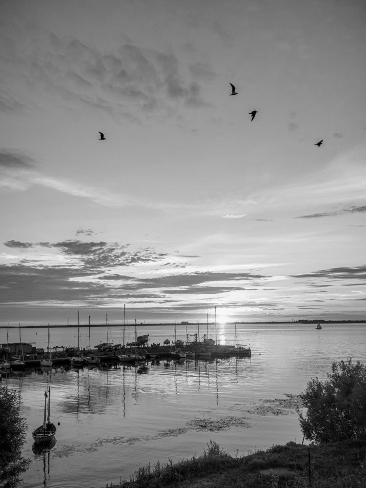 Photograph by Екатерина Савенкова