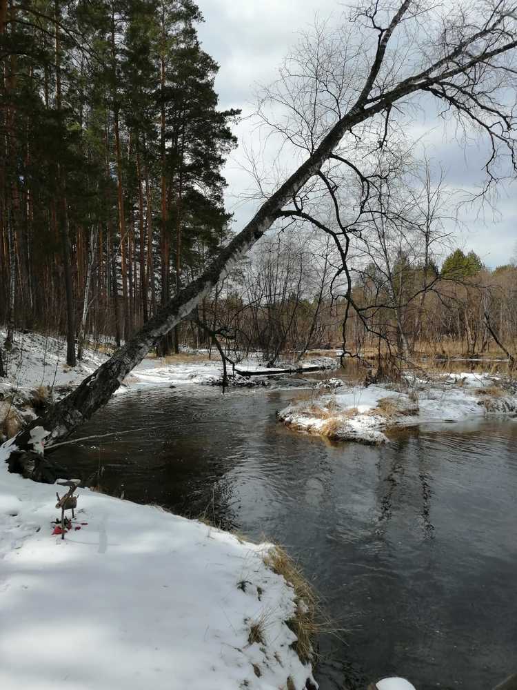 Фотография автора Юлия Лубкина