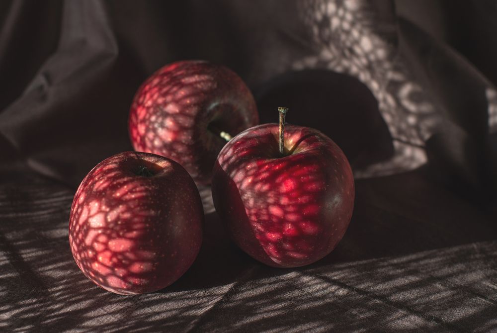 Фотография автора Сусанна Галоян