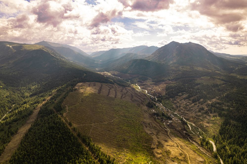 Photograph by Дмитрий Степаненко