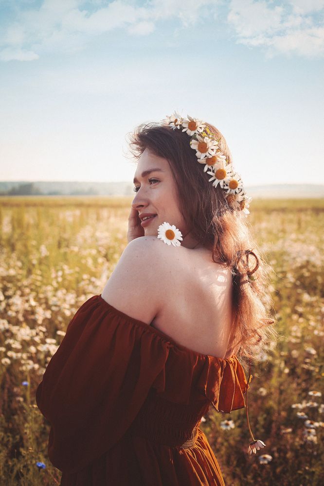 Ромашковое поле