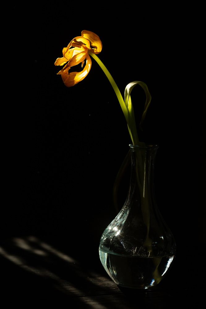 Photograph by Наталья Угрюмова