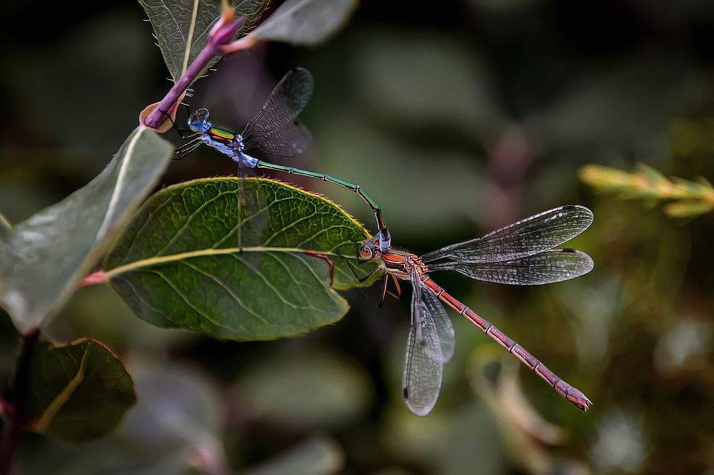 дозаправка