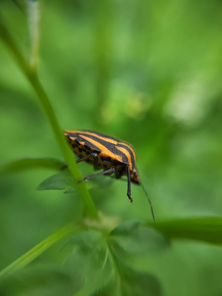 Photograph by Наталья Сенотрусова