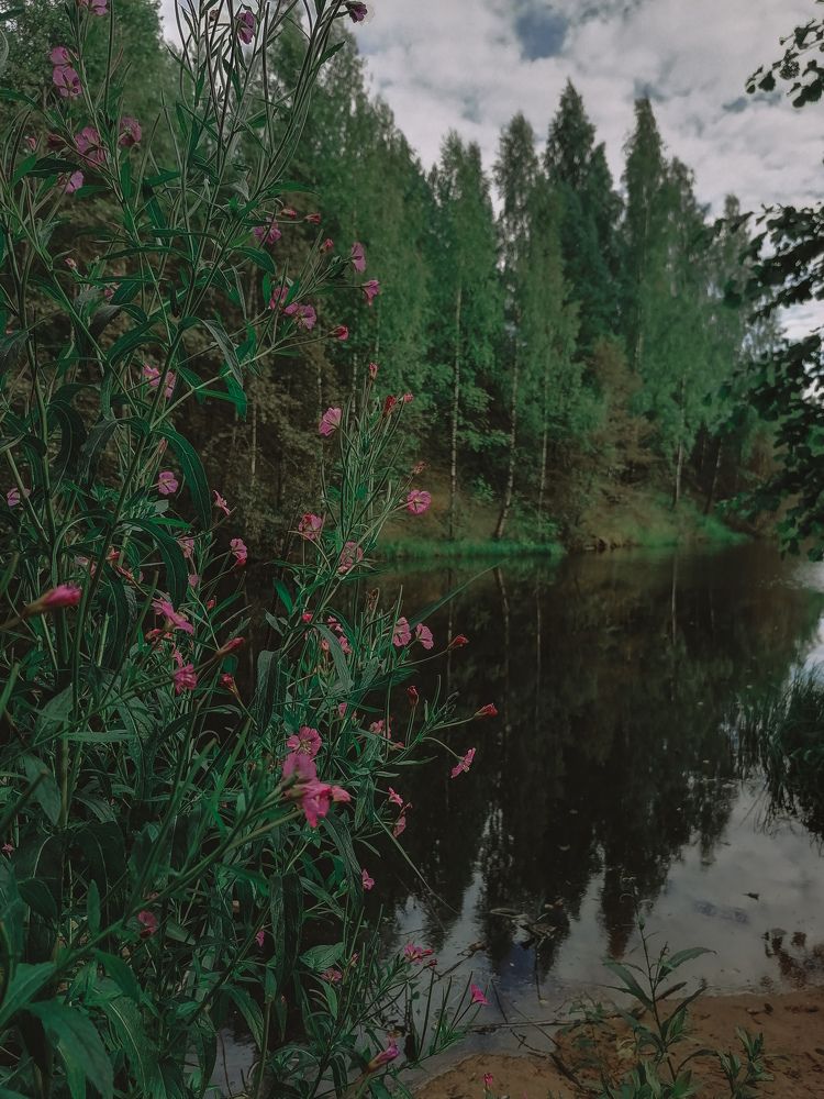 Photograph by Ирина Забродина