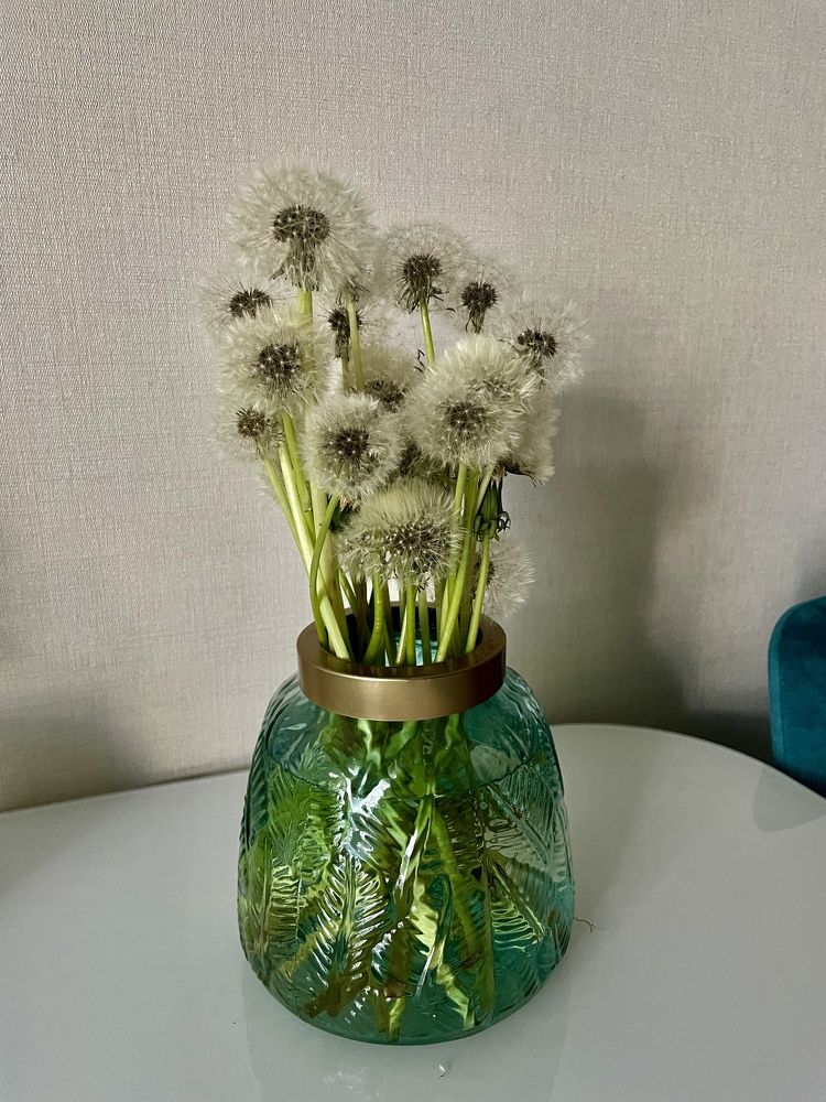 Фотография автора Юлия Недосекина