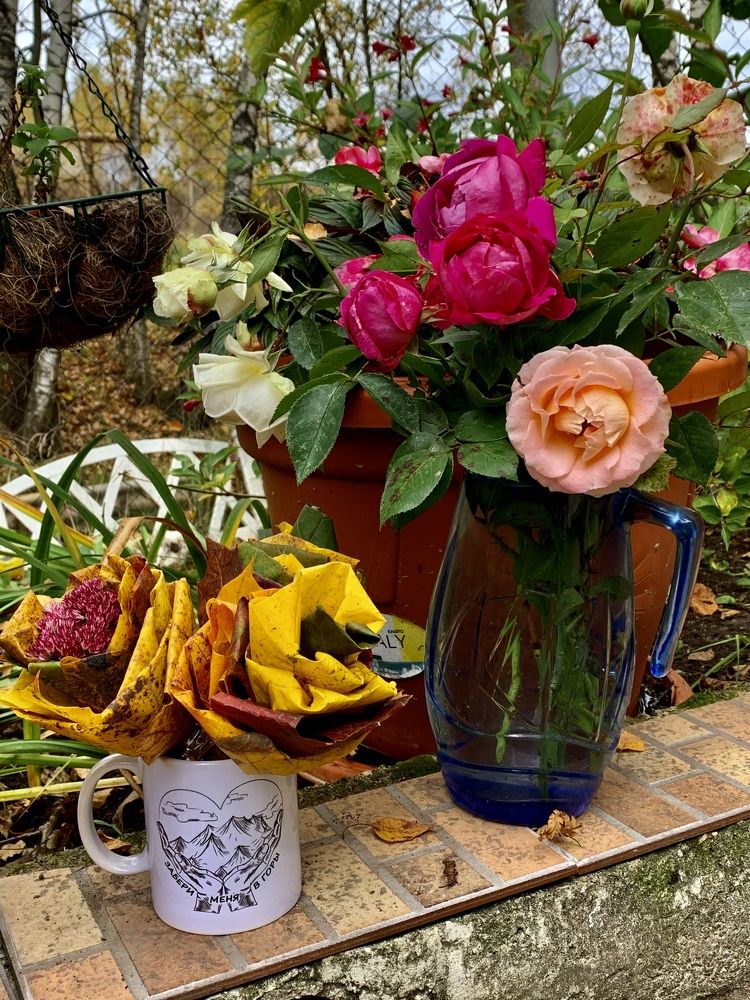 Фотография автора Юлия Недосекина