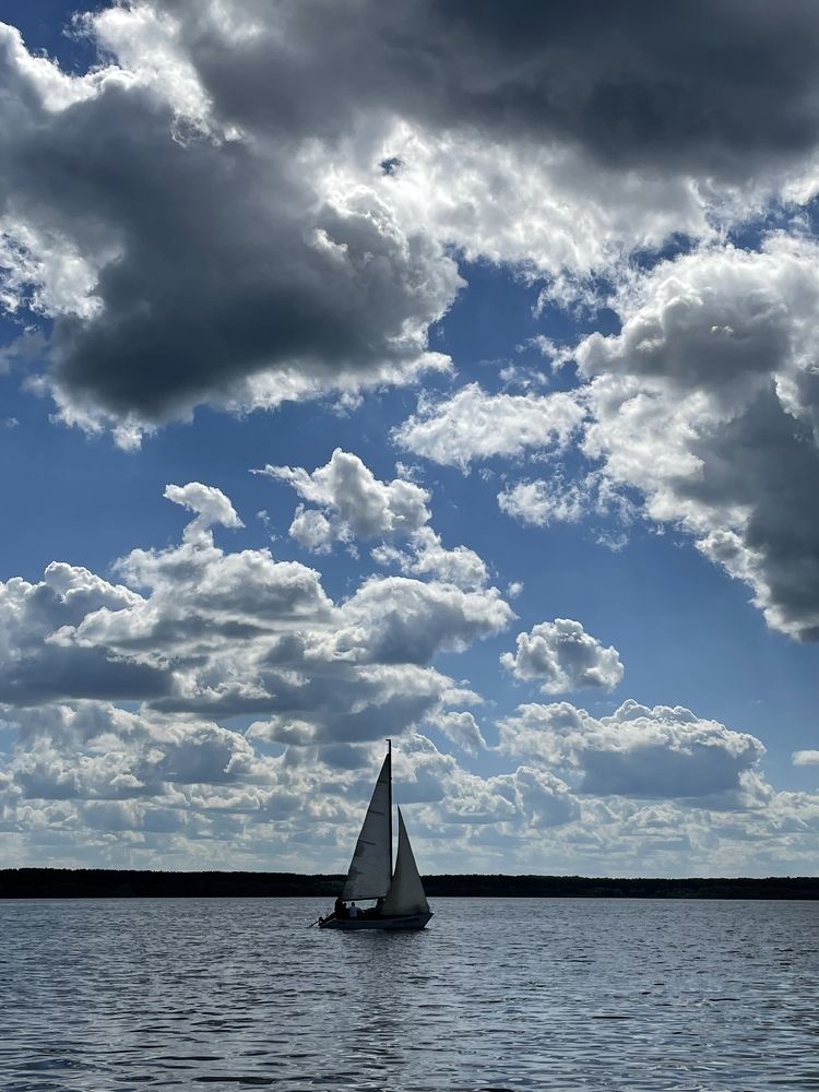 Фотография автора Юлия Недосекина