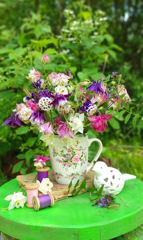 Фотография автора Марина Гусева