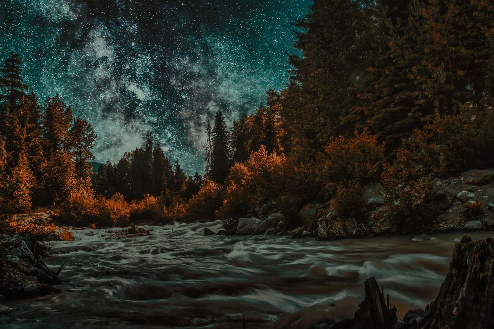 Photograph by Sahibpreet Kochar