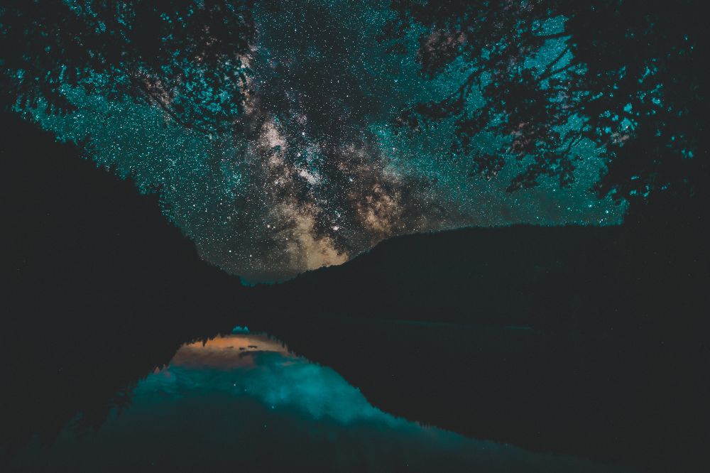 Photograph by Sahibpreet Kochar