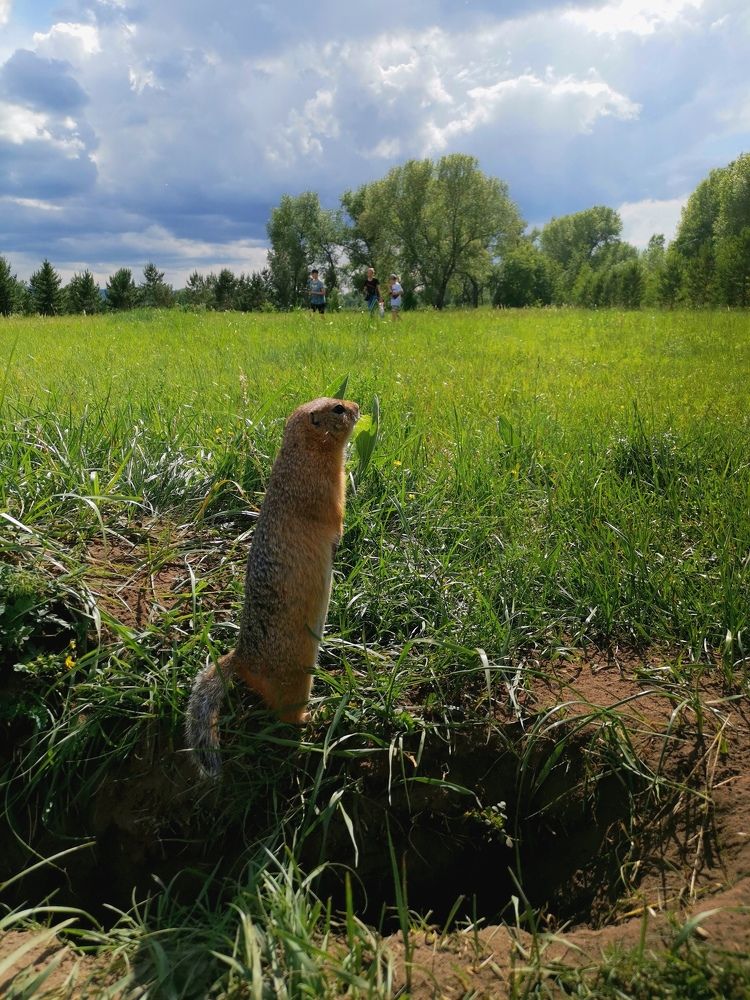 Photograph by Сергей Подлевский