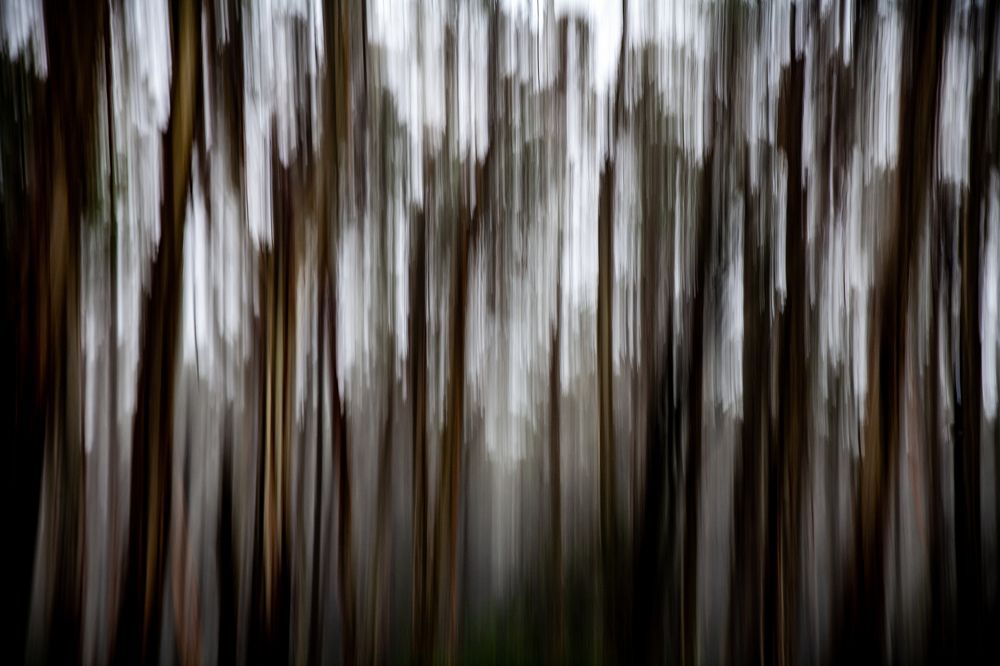 Photograph by Горлов Дмитрий