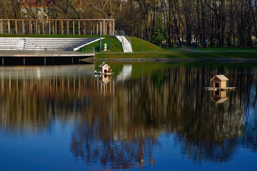 Зеркальное утро!