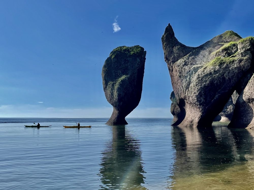 Фотография автора Юлия Недосекина