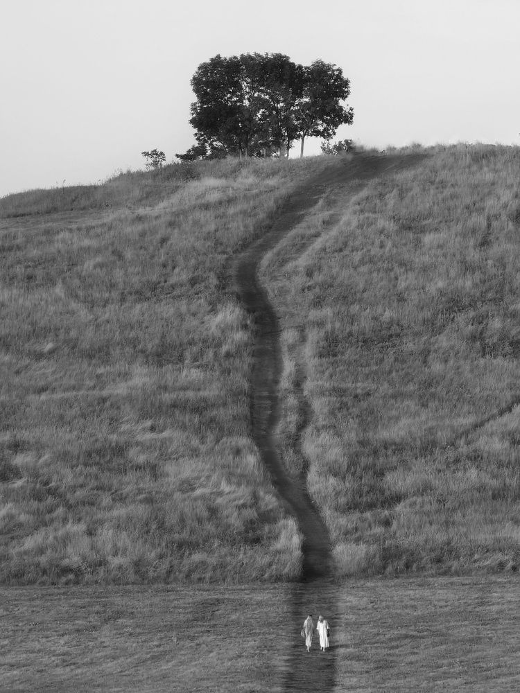 Фотография автора Дмитрий Чухлебов