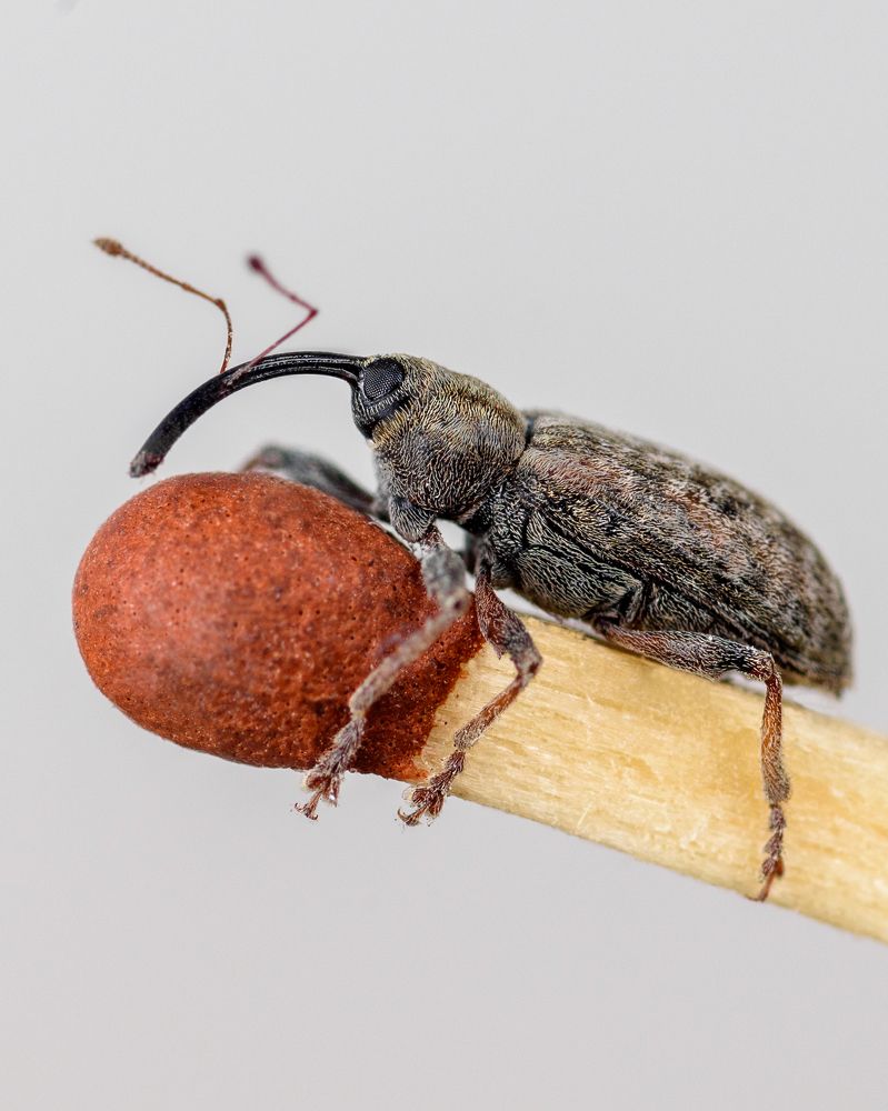 Фотография автора Владимир Зубков