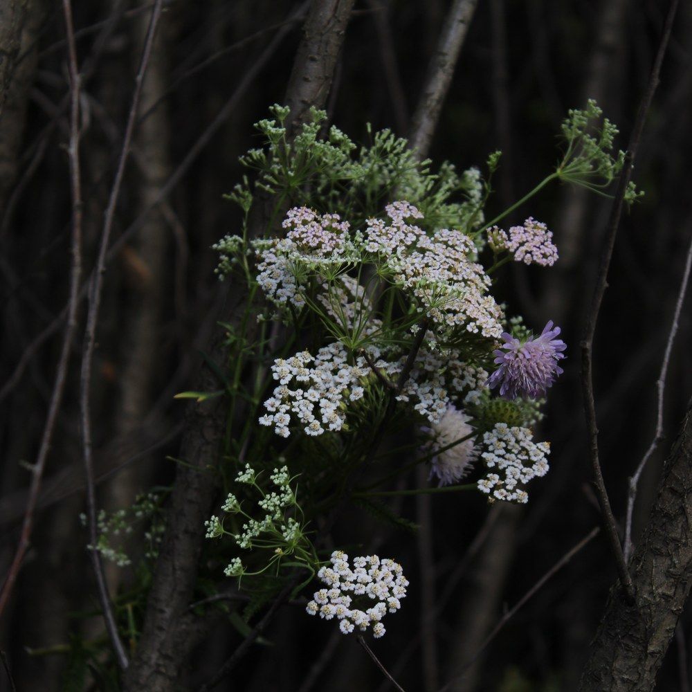Photograph by Татьяна Сюсина