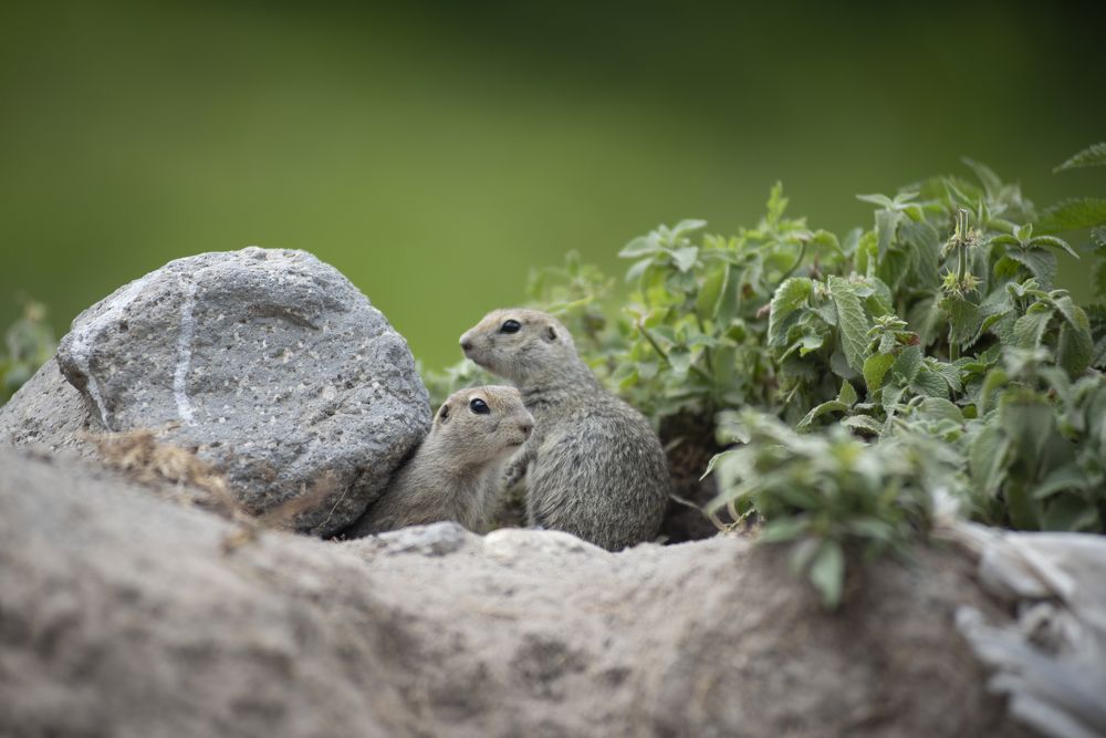 Photograph by Маргарита Богуславская
