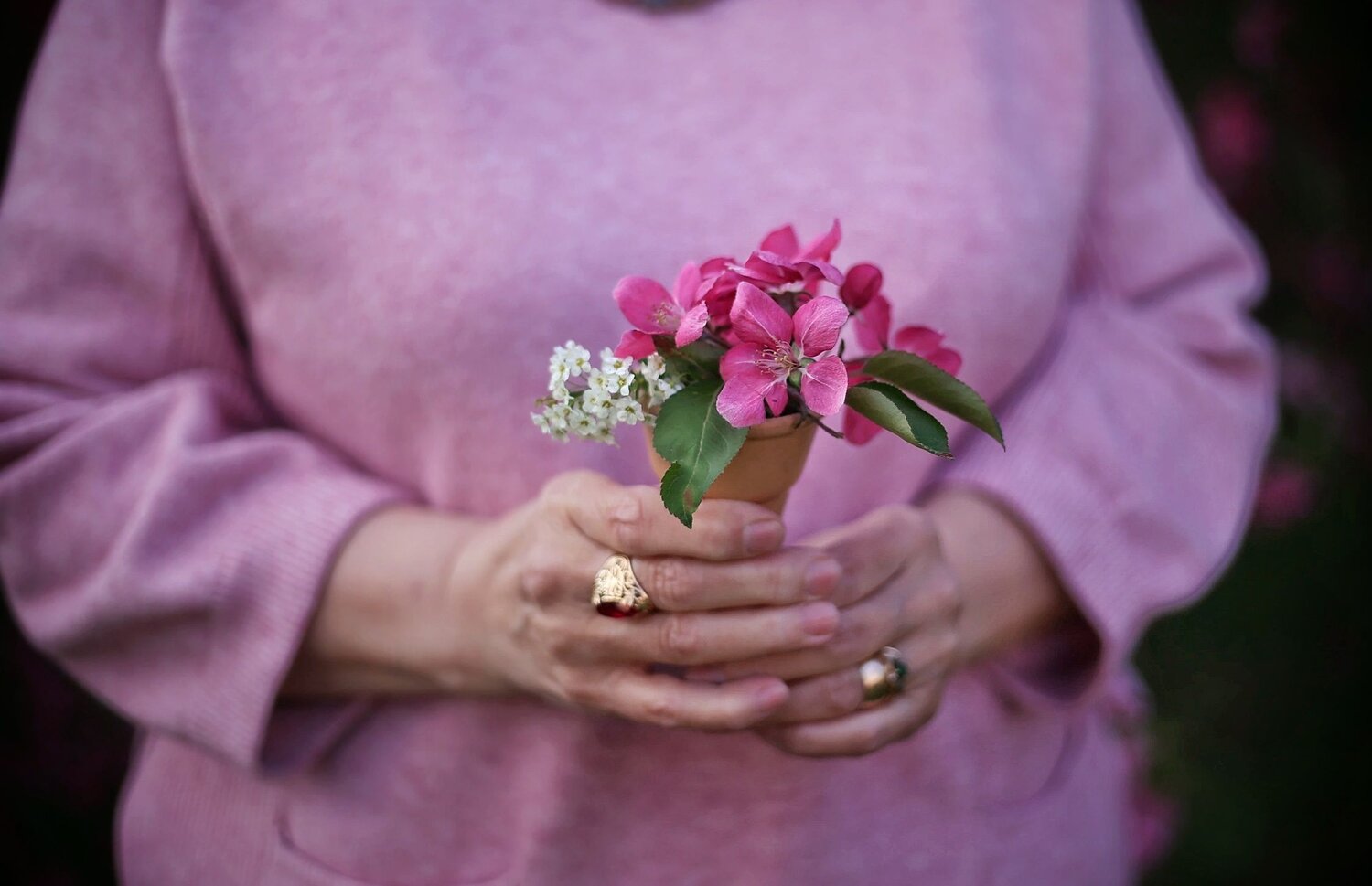 Photo #7881124
