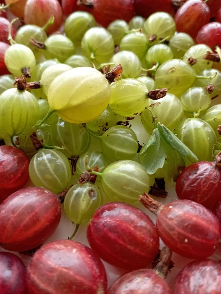 Photograph by Svetlana