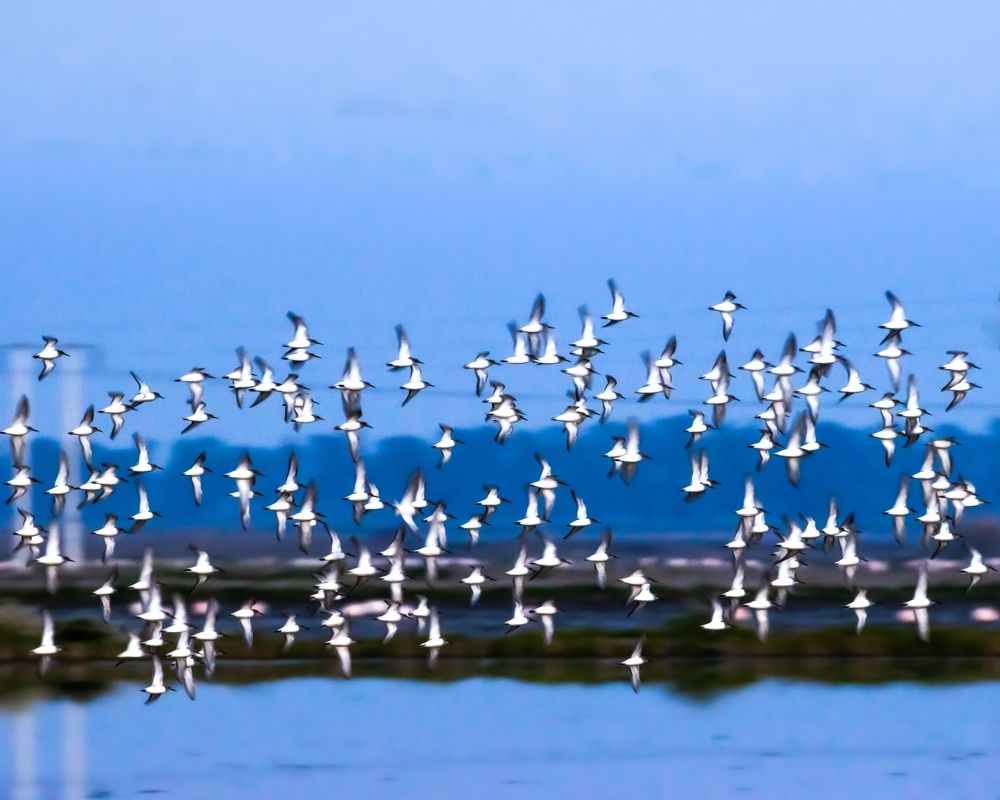 Photograph by Francisco José López Fernández