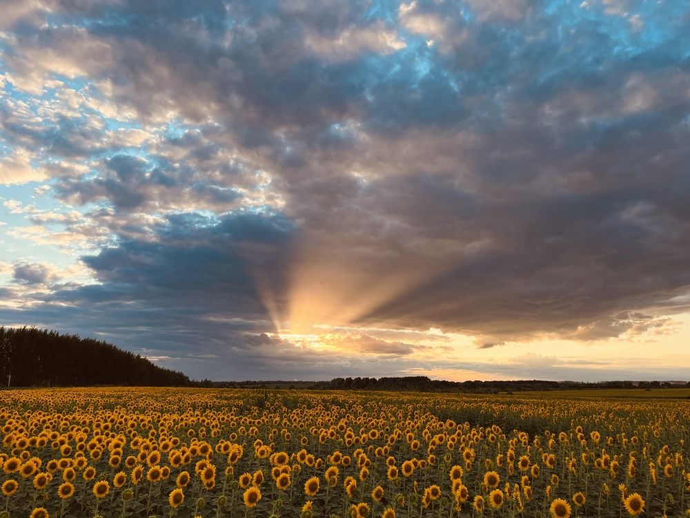 Photograph by Орехов Константин