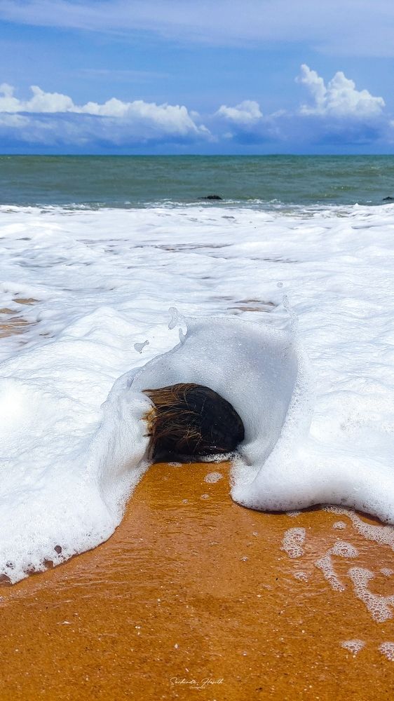 Photograph by Sachinda Hasith