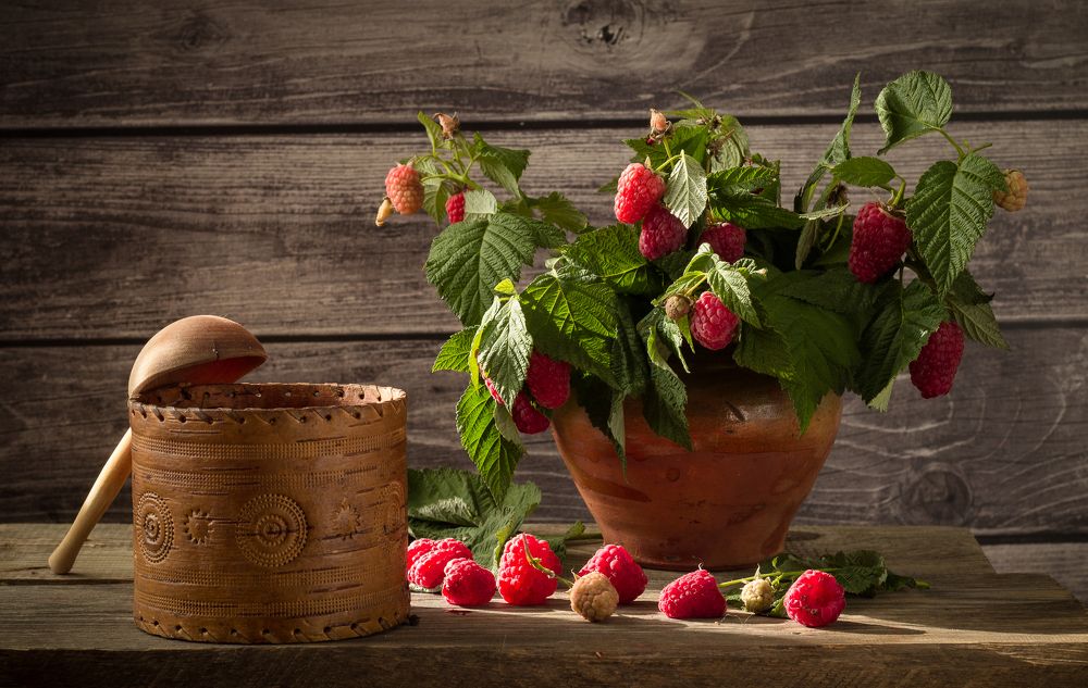 Photograph by Елена Хвойнова