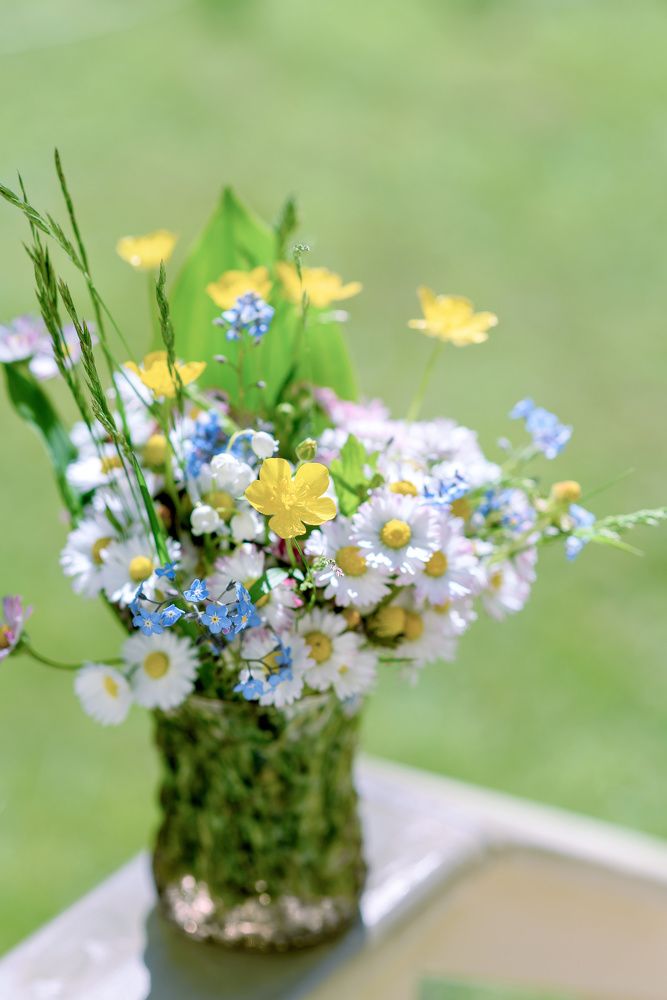 Photograph by Svetlana Jarbuse