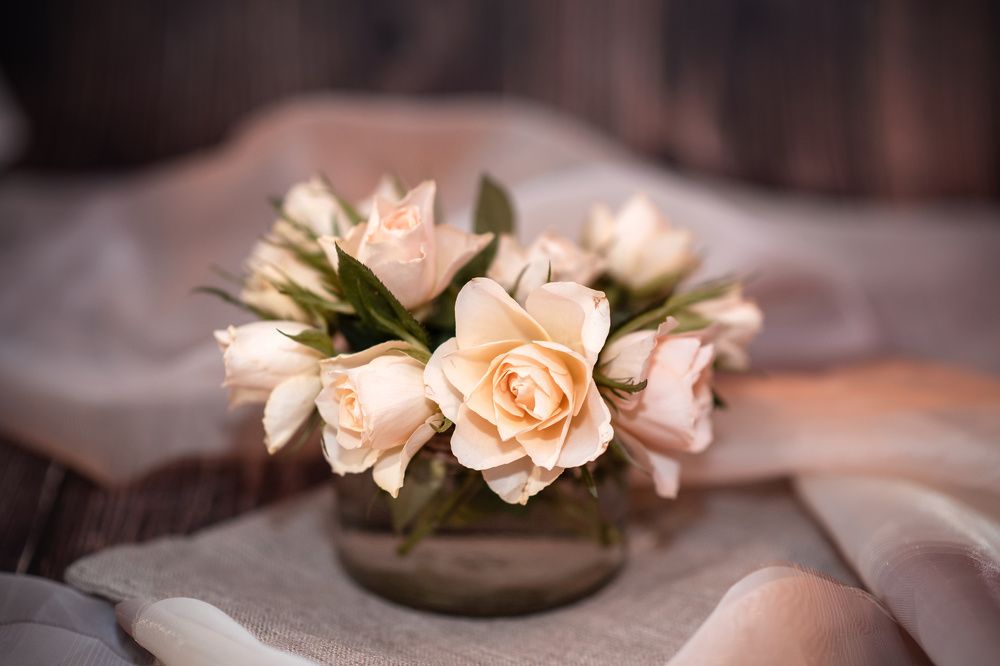 Photograph by Svetlana Jarbuse