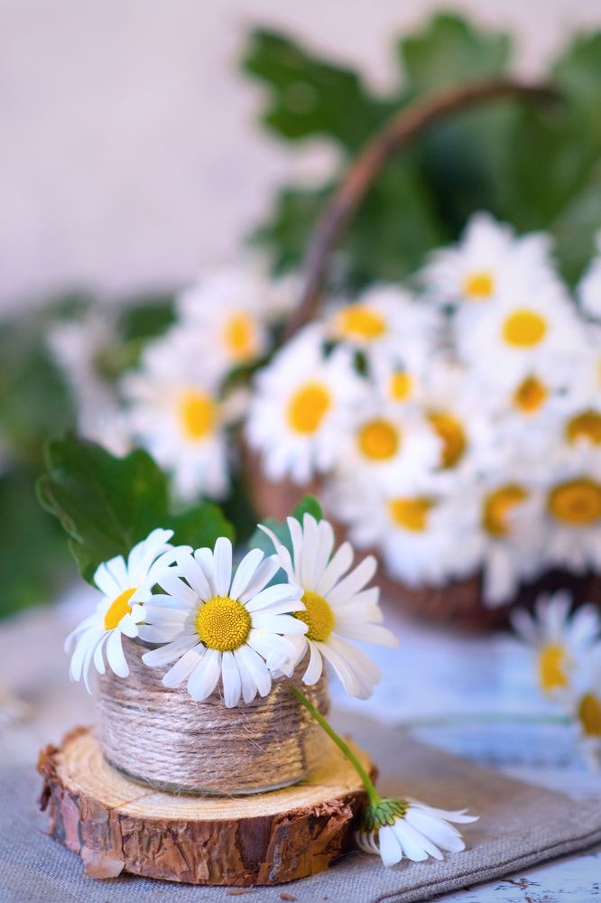 Photograph by Svetlana Jarbuse